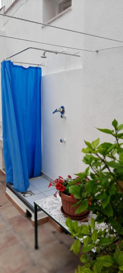 Castaldi Apartments Forio di Ischia Dış mekan fotoğraf