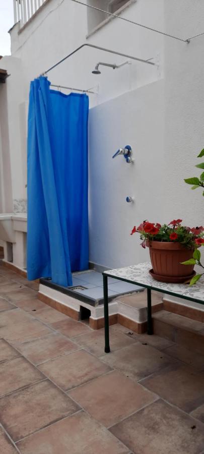 Castaldi Apartments Forio di Ischia Dış mekan fotoğraf